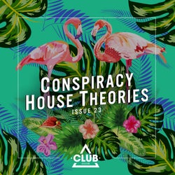 Conspiracy House Theories, Issue 23