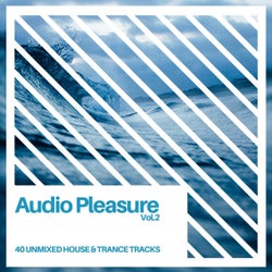 Audio Pleasure Vol.2 (Radio Edits)