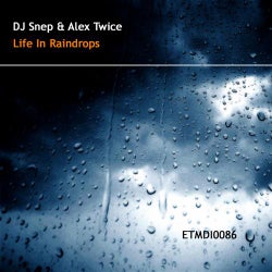 Life in Raindrops