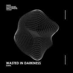Wasted In Darkness