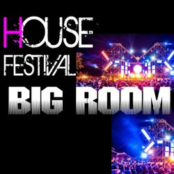 House Festival Big Room