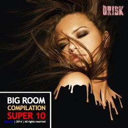 Big Room Compilation - Super 10