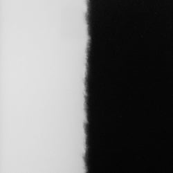Jamais la