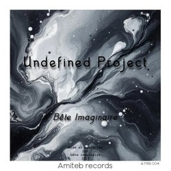 Undefined Project