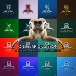 One Year Of Gibbon Records