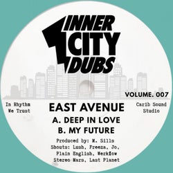 Inner City Dubs Volume 7