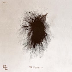 Sycomore