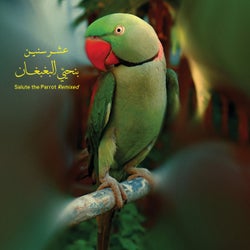 Benhayyi Al-Baghbaghan (Salute the Parrot) Remixed - Remix Version