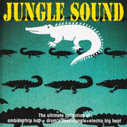 Jungle Sound (The Ultimate Collection Of Ambient, Trip Hop, Drum'n'Bass, Jungle, Electro Big Beat)