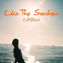 Like The Sunshine (Extended Mix)