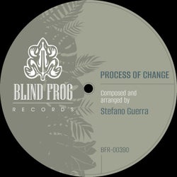 Process of Change (feat Jahy S)