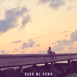 burn me down