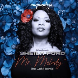 Mr. Melody (The Coflo Remix)