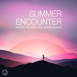 Summer Encounter (Dancing in the Moonlight)