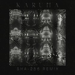 Karuna (SHA-256 Remix)
