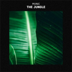 The Jungle