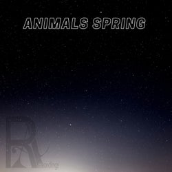 Animals Spring
