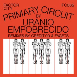 Primary Circuit
