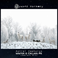 Winter Is Calling Me (Ambient Mix)