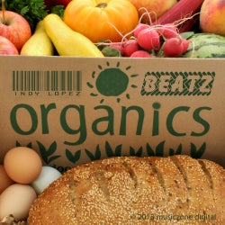 Indy Lopez  - Organics Beatz 2013