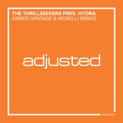 Amber (Vintage & Morelli Remixes)