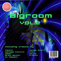 Bigroom, Vol. 2