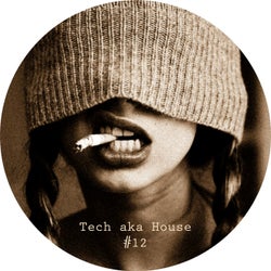 Tech Aka House #12