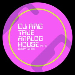 True Analog House, Pt. 3