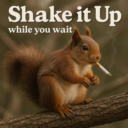 Shake it Up While You Wait