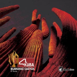 Burning Cactus (Part 1)