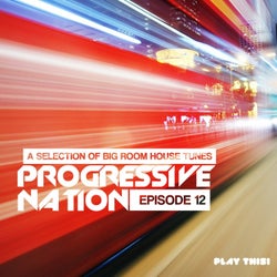 Progressive Nation, Vol. 12 (A Selection of Big Room House Tunes)