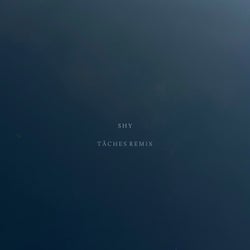 Shy (TACHES Remix)