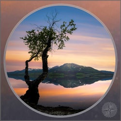 Gaian Dreams