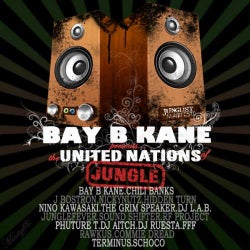 Bay B Kane Presents: The United Nations of Jungle