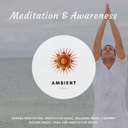 Meditation & Awareness (Chakra Meditation, Meditation Music, Relaxing Music, Calming Nature Music, Yoga And Meditation Music)
