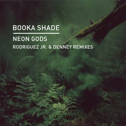 Neon Gods (Remixes)