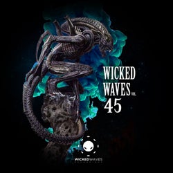 Wicked Waves Vol. 45
