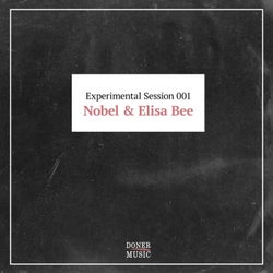 Experimental Session 001