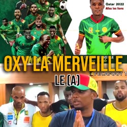 ALLEZ LES LIONS INDOMPTABLES