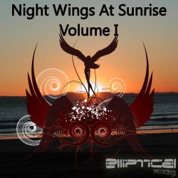 Night Wings At Sunrise Volume I