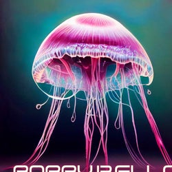 LIVESET20250530
