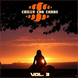 Chilly Con Carne, Vol. 3 (Best Lounge and Chill House Tracks)
