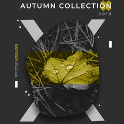 Autumn Collection. 2019