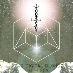 The Digital Blonde Remixes