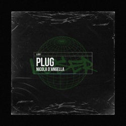 Plug