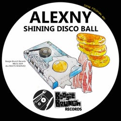 Shining Disco Ball