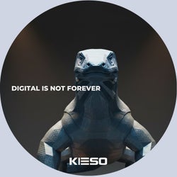 Digital Is Not Forever