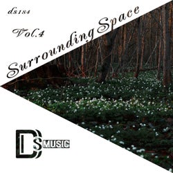 Surrounding Space, Vol. 4