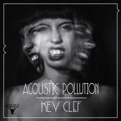 Acoustic Pollution
