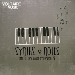 Synths And Notes 23